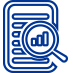 Audit Services